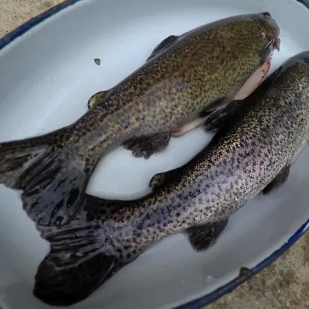 Monastery C39 Διαμέρισμα Μπάνσκο