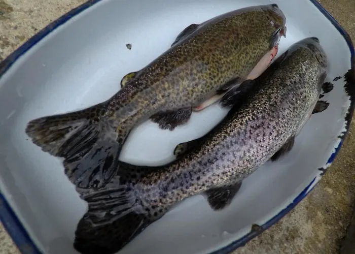 Monastery C39 Appartamento Bansko